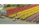BUSCH ref 1206 HO - Tulipes
