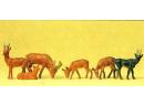 PREISER 14178 HO - Animaux : chevreuils et  chamois