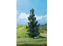 Sapins premium 3 pi�ces