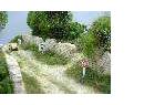 MUR DE CAMPAGNE