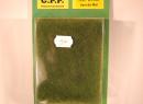 Tapis vert de Mai