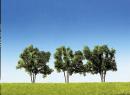 3 charmes �S�rie Super�
