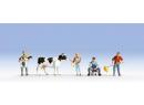 Etable � vaches