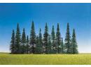 Sapins assortis 15 pi�ces pour HO/N