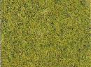 Toison herbe vert clair