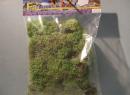 Lichen mousse en pack de 100 G vert