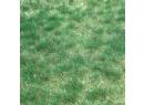 HEKI r�f 1843 - Herbes sauvages de terrain mar�cageux