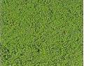 HEKI r�f 1600 - Microflor vert clair (tapis mousse)