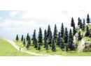 H0 6492 35 sapins avec racines