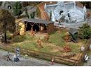 130564 Enclos de gibier Cervid�s