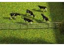 FALLER 272408 N - Syst�me de cloturepour stalles