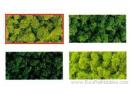 BUSCH ref 7332 - Mousse buisson vert moyen (flocage/flocon)