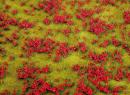 180460  	 Segment de paysage PREMIUM, Prairie fleurie, rouge