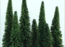 FR ref 659 - Boite de 7 sapins floqu�s assortis vert moyen