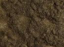 FALLER ref 171643 - Fibres de flocage PREMIUM, 810 ml, vert pairie