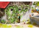 NOCH ref 14132 HO - Vigne vierge (12 U)