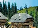 FALLER ref 232256 N - Maison For�t noire