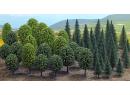BUSCH 6491 HO - For�t de feuillus (50 arbres)