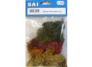 SAI 9639 - Mousse lichen vari�e 30 g