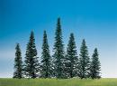 FALLER 181164 - 50 sapins, hauteur vari�e