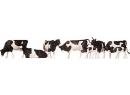 FALLER 154003 HO - Vaches blanches, avec taches noires