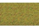 NOCH 8310 - Herbe d t vert clair 2,5 mm - Sommerwiesen gras (20G)