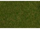 FALLER 170207 - Fibres de flocage herbes sauvages, Prairie d t, 4 mm, 30 g