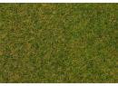 FALLER 170206 - Fibres de flocage herbes sauvages, Prairie au dbut t, 4 mm, 30 g