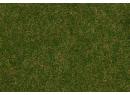 FALLER 170232 - Fibres de flocage herbes sauvages, Prairie au dbut t, 4 mm, 30 g