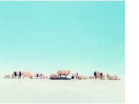 Photo 1/1