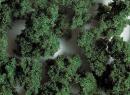 FALLER 171556 - Flocons de terrain PREMIUM, grossiers, vert moyen, 290 ml