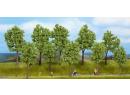 NOCH 24200 HO/TT - 10 Arbres de printemps 10-14 cm - Bume Frling