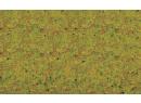 NOCH 8310 - Herbe d t vert clair 2,5 mm - Sommerwiesen gras (20G)