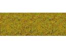 NOCH 50190 - Sommerwiesen gras - Herbe vert clair 2,5 mm (100G)