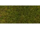 FALLER 170771 - Herbes verte 6 mm (30 g)