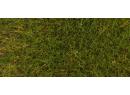 FALLER 170771 - Herbes verte 6 mm (30 g)