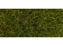 FALLER 170774 - Herbe verte en t 12mm (30g)