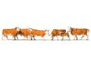 PREISER 10146 HO - Set de 6 vaches marrons et blanches