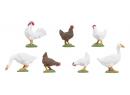 POLA 331896 G - 5 poules et 2 canards ech 1.225