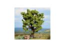 NOCH 21760 O, HO, TT et N - Chne - Oak 15 cm