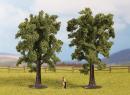 NOCH 25170 - Htres 13 cm x 2 U - Beech trees