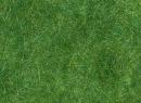 BUSCH 7370 - Flocage herbe sauvage 15 g