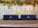 ACME HO - Twin Sggmrss avec containers P et O ep V Cargo