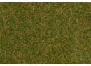 FALLER 170209 - Fibres de flocage herbes sauvages, vert-brun, 4 mm, 30 g