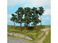 Photo 1/1 : Photo en situation