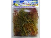 Photo 1/1